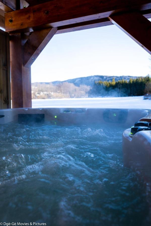 Les Jardins Du Herisson Chalet 2 Bonlieu エクステリア 写真